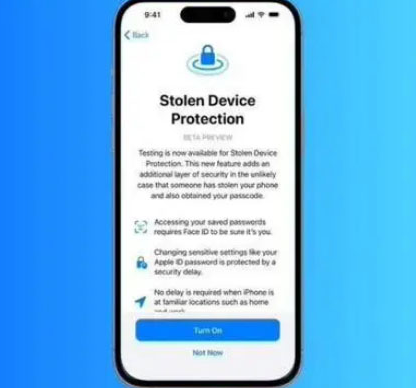 多文镇苹果授权维修店分享被盗设备保护功能开启方法 