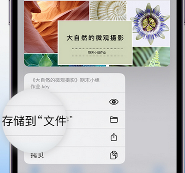 多文镇apple维修中心分享iPhone文件应用中存储和找到下载文件