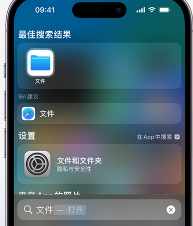 多文镇apple维修中心分享iPhone文件应用中存储和找到下载文件 