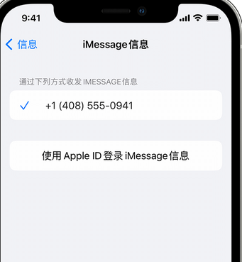 多文镇apple维修iPhone上无法正常发送iMessage信息 