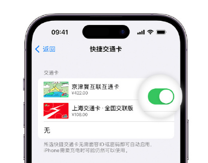 多文镇apple维修点分享iPhone上更换Apple Pay快捷交通卡手绘卡面 