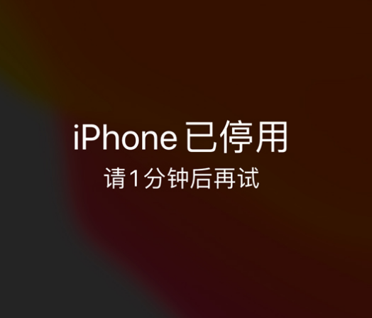 多文镇苹果手机维修分享:iPhone 显示“不可用”或“已停用”怎么办？还能保留数据吗？ 