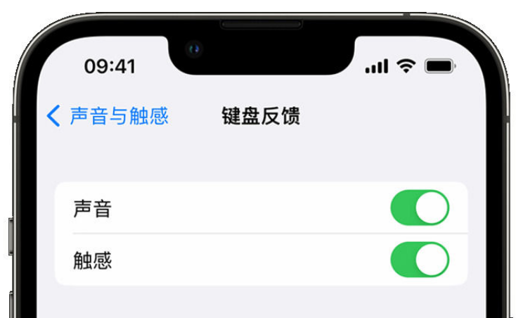 多文镇苹果手机维修分享iPhone 14触感键盘使用方法 