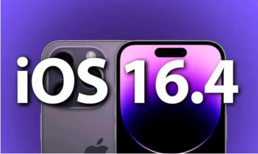 多文镇苹果14维修分享：iPhone14可以升级iOS16.4beta2吗？ 