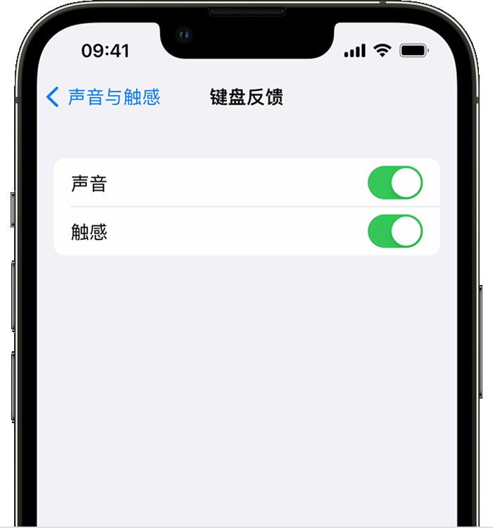 多文镇苹果14维修店分享如何在 iPhone 14 机型中使用触感键盘 