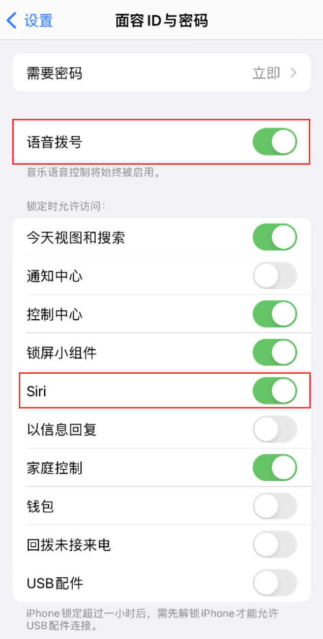 多文镇苹果维修网点分享不解锁 iPhone 的情况下通过 Siri 拨打电话的方法 