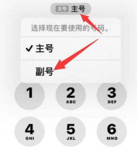 多文镇苹果14维修店分享iPhone 14 Pro Max使用副卡打电话的方法 