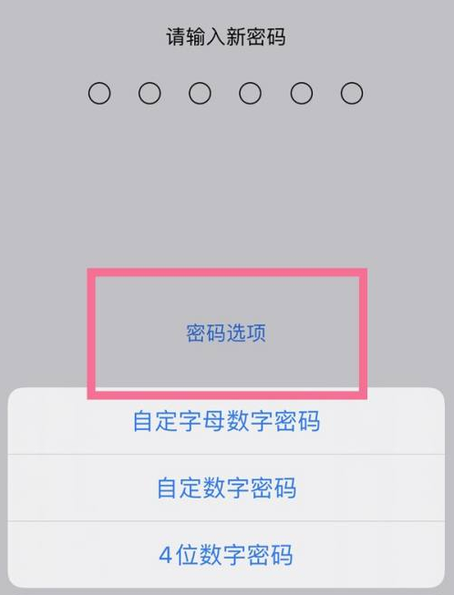 多文镇苹果14维修分享iPhone 14plus设置密码的方法 