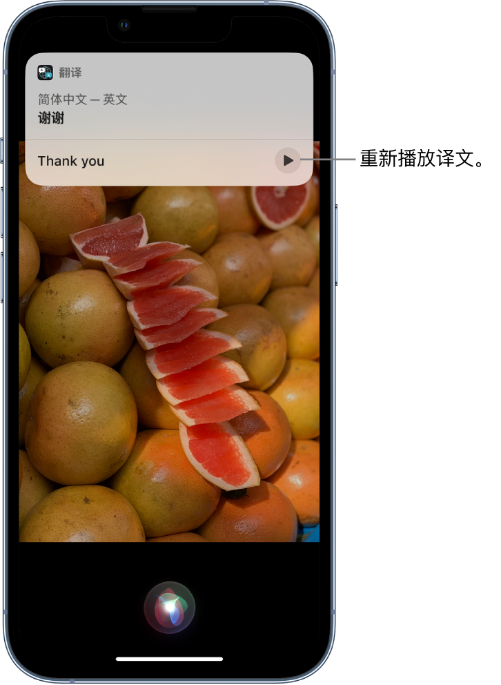 多文镇苹果14维修分享 iPhone 14 机型中使用 Siri：了解 Siri 能帮你做什么 