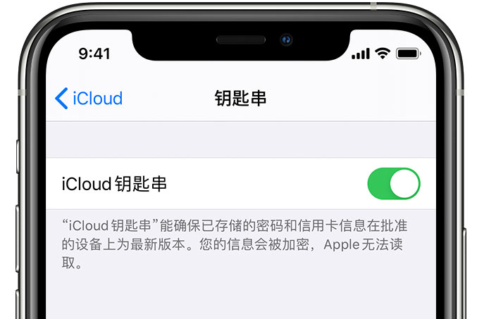 多文镇苹果手机维修分享在 iPhone 上开启 iCloud 钥匙串之后会储存哪些信息 