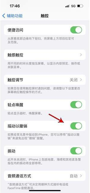 多文镇苹果手机维修分享iPhone手机如何设置摇一摇删除文字 